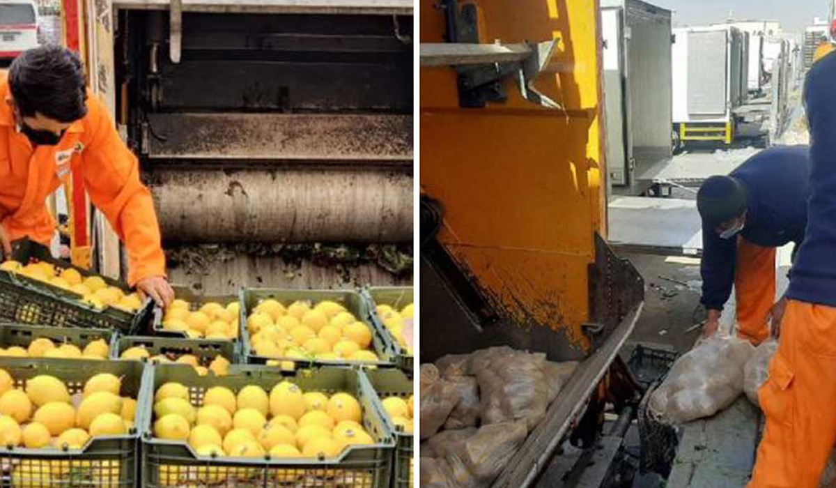 Huge quantity of inedible lemon and potato destroyed